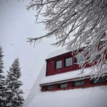 Cienkow 3 Appartement