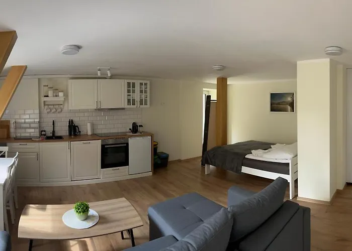 Cienkow 3 דירה ויסלאו